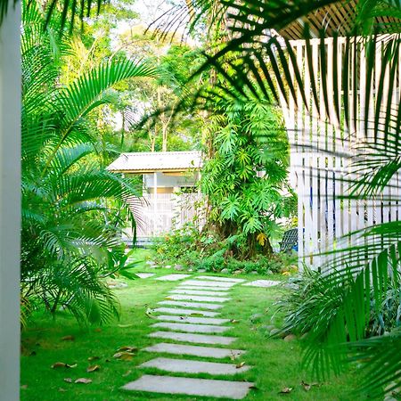 Olivia Del Caribe Suite Puerto Viejo de Talamanca Dış mekan fotoğraf