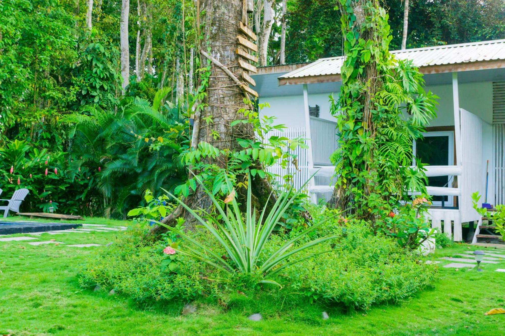 Olivia Del Caribe Suite Puerto Viejo de Talamanca Dış mekan fotoğraf
