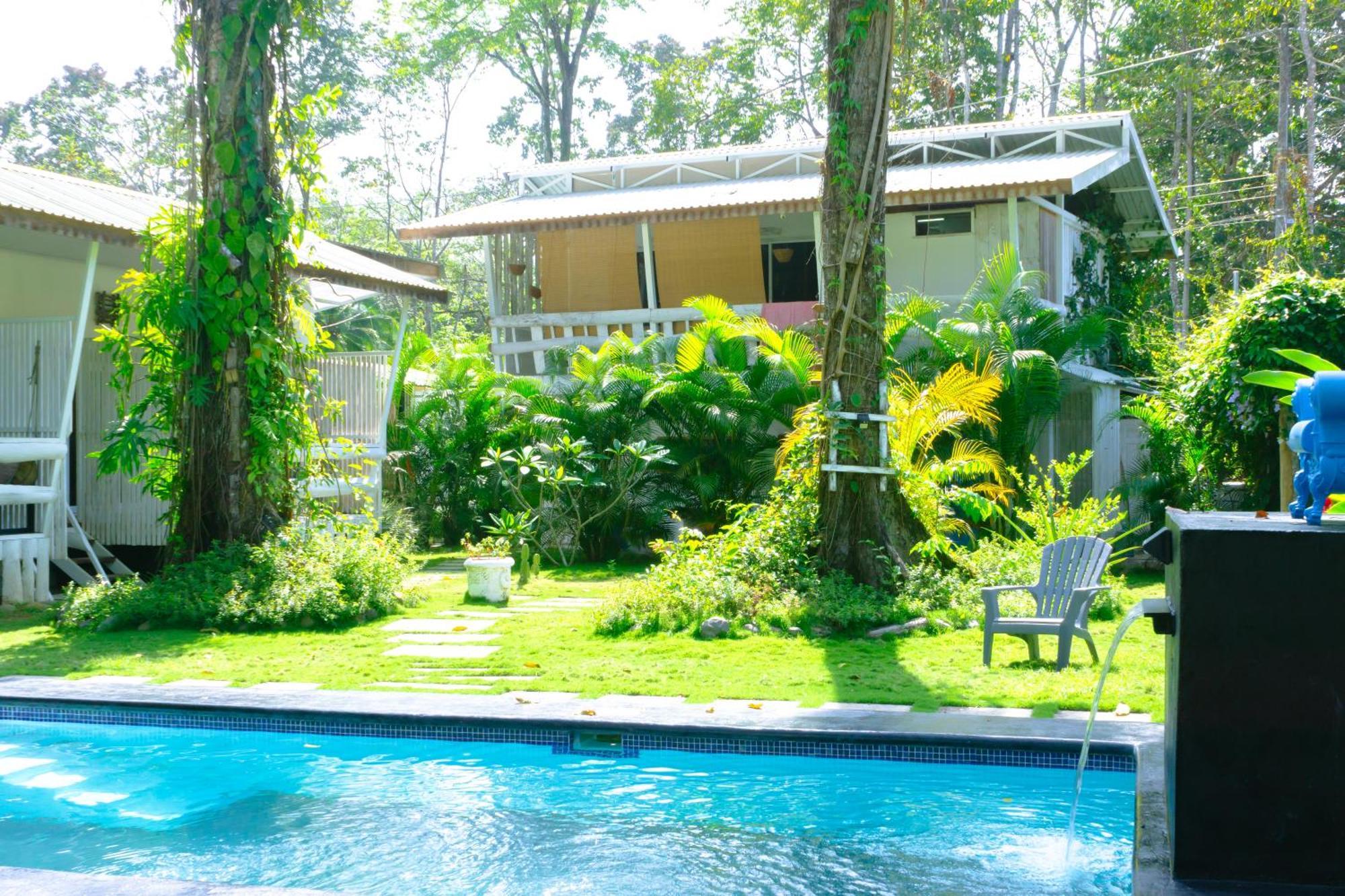 Olivia Del Caribe Suite Puerto Viejo de Talamanca Dış mekan fotoğraf