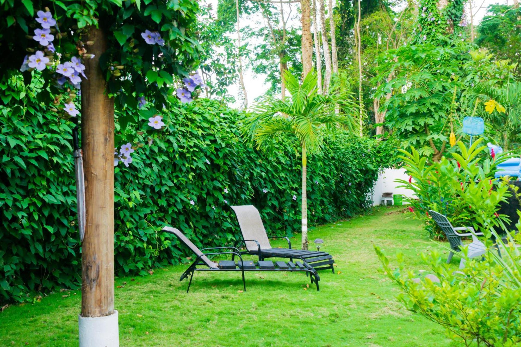 Olivia Del Caribe Suite Puerto Viejo de Talamanca Dış mekan fotoğraf