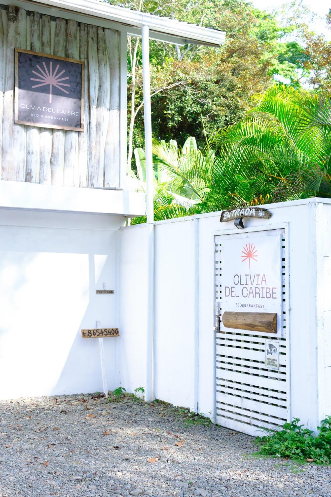 Olivia Del Caribe Suite Puerto Viejo de Talamanca Dış mekan fotoğraf