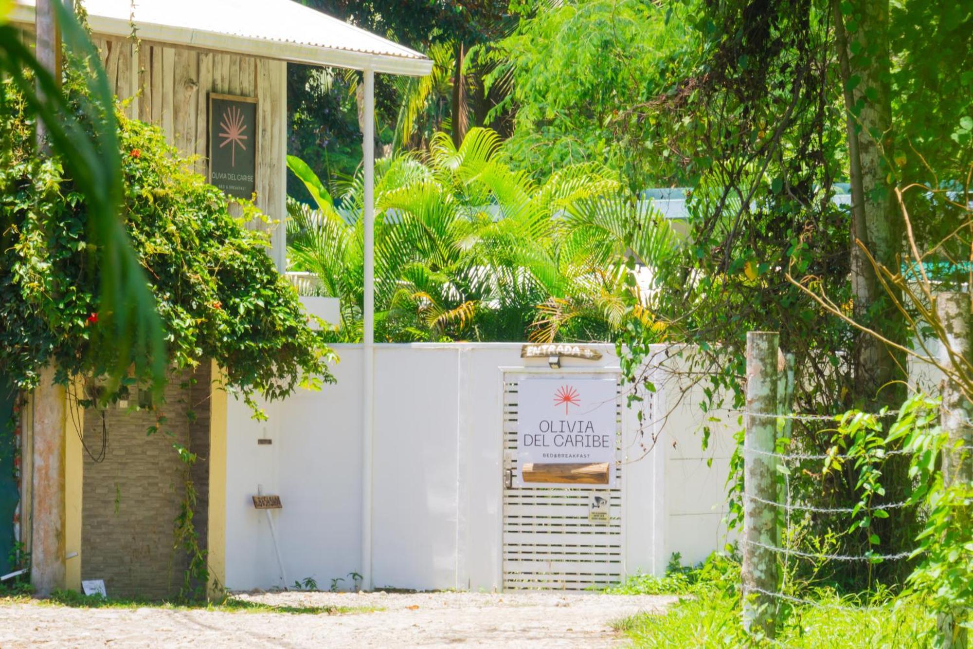 Olivia Del Caribe Suite Puerto Viejo de Talamanca Dış mekan fotoğraf